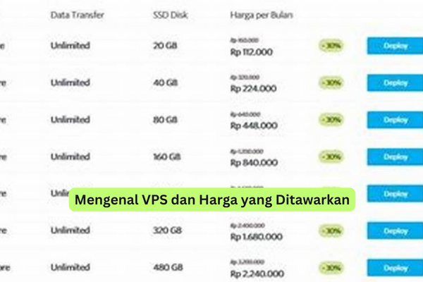 Mengenal Vps Dan Harga Yang Ditawarkan Riotallo