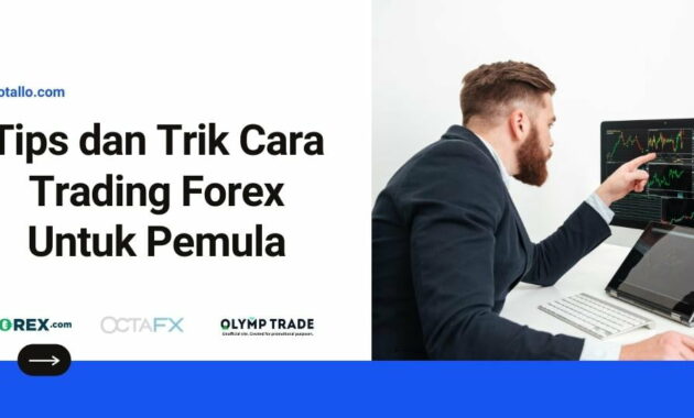 Tips dan Trik Cara Trading Forex Untuk Pemula