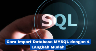 Import Database MySQL