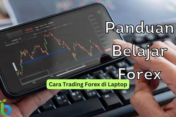 Cara Trading Forex Di Laptop: Panduan Lengkap Untuk Pemula - Riotallo.com