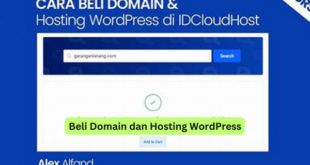 Beli Domain dan Hosting WordPress