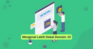 Mengenal Lebih Dekat Domain .IO