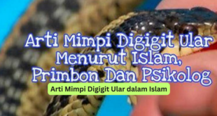 Arti Mimpi Digigit Ular dalam Islam