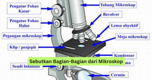 Sebutkan Bagian-Bagian dari Mikroskop