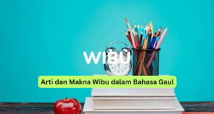 Arti dan Makna Wibu dalam Bahasa Gaul