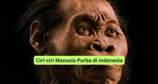 Ciri-ciri Manusia Purba di Indonesia