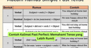 Contoh Kalimat Past Perfect Memahami Tense yang Lebih Rumit