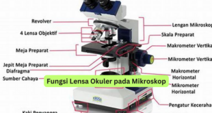 Fungsi Lensa Okuler pada Mikroskop