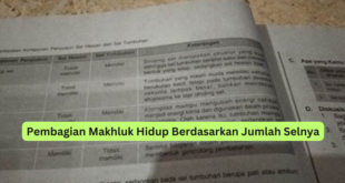 Pembagian Makhluk Hidup Berdasarkan Jumlah Selnya