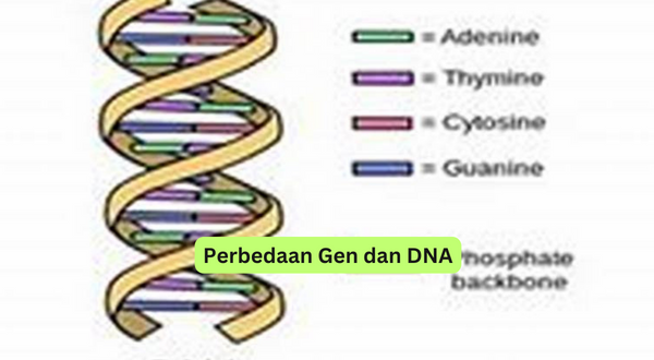 Perbedaan Gen dan DNA