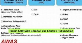 Rukun Salat Ada Berapa Yuk Kenali 5 Rukun Salat