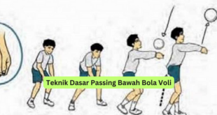 Teknik Dasar Passing Bawah Bola Voli