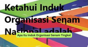 Apa itu Induk Organisasi Senam Tingkat