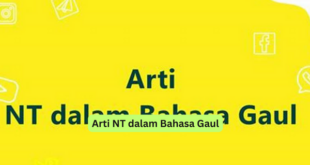 Arti NT dalam Bahasa Gaul