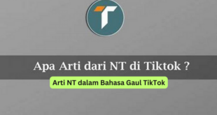 Arti NT dalam Bahasa Gaul TikTok