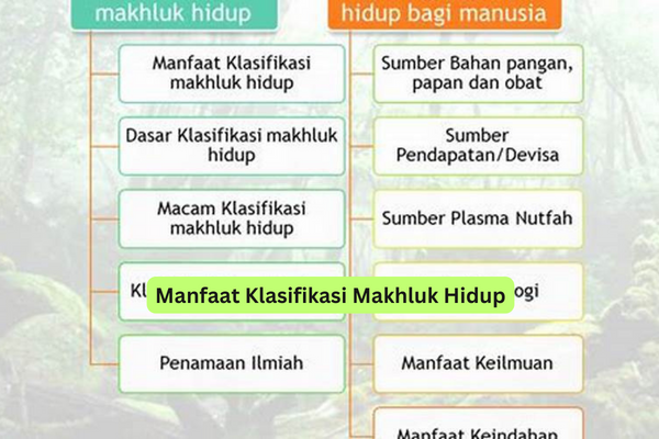 Manfaat Klasifikasi Makhluk Hidup - Riotallo.com